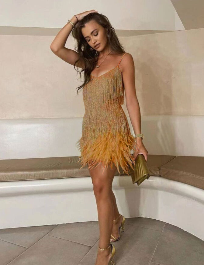 Samba - A Elegância em Movimento